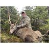 Image 1 : 4-day/5-night Ireland Red/Sika Deer (hybrid) and Hybrid Goat Hunt for One Hunter and One Non-hunter