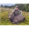 Image 2 : 4-day/5-night Ireland Red/Sika Deer (hybrid) and Hybrid Goat Hunt for One Hunter and One Non-hunter