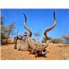 Image 2 : 8-day Namibia Plains Game Hunt for One Hunter and Two Non-Hunters with $6,000 Trophy Fee Credit