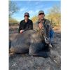 Image 1 : 3-day/2-night Texas Free Range Nilgai Bull Hunt for Two hunters and One Non-hunter