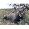 Image 2 : 3-day/2-night Texas Free Range Nilgai Bull Hunt for Two hunters and One Non-hunter