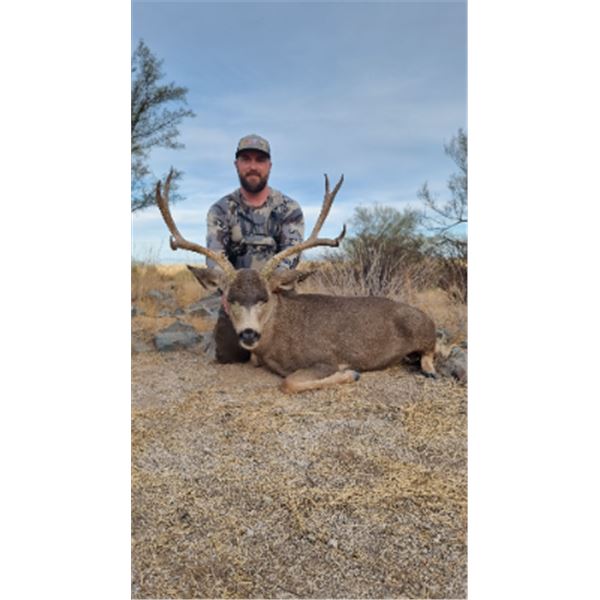 3-day/4-night Mexico Desert Mule Deer Management Hunt for One Hunter