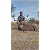 Image 1 : 3-day/4-night Mexico Desert Mule Deer Management Hunt for One Hunter