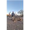 Image 2 : 3-day/4-night Mexico Desert Mule Deer Management Hunt for One Hunter