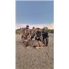 Image 3 : 3-day/4-night Mexico Desert Mule Deer Management Hunt for One Hunter
