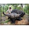 Image 1 : 10-day Zimbabwe Cape Buffalo and Plains Game Safari for One Hunter and  One Non-hunter