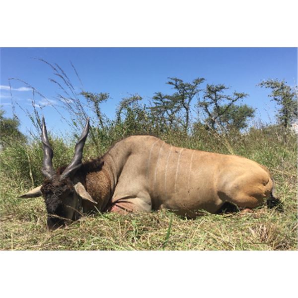 7-day Uganda Plains Game Safari for One Hunter and One Non-Hunter