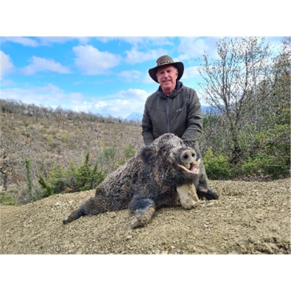 5-day/4-night (3-hunting days) Italy Wild boar and Truffle Hunt for Two Hunts and Two Non-hunters