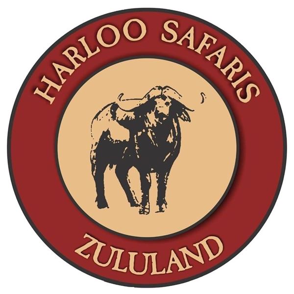 7-day South Africa Nyala, Non-trophy Warthog (Two) and Cape Buffalo Cow Hunt for Two Hunters and Two