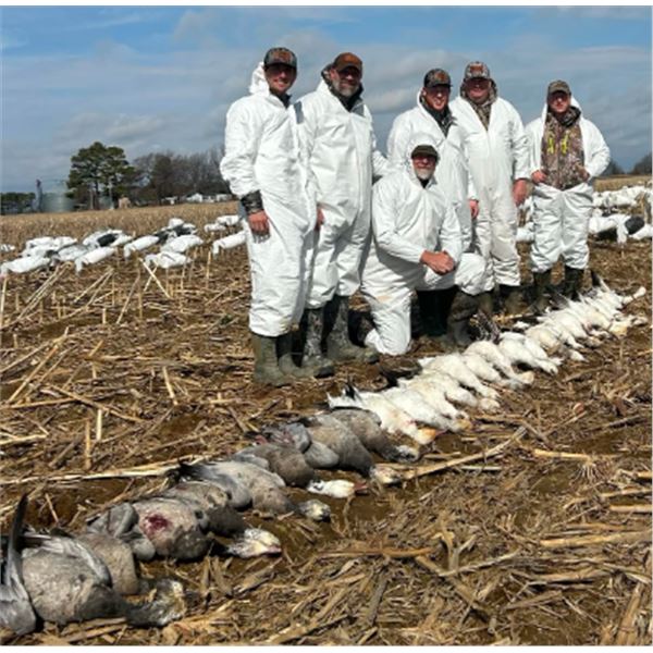 3-day Arkansas Snow Goose Hunt for Six Hunters