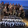 Image 4 : 3-day Arkansas Snow Goose Hunt for Six Hunters