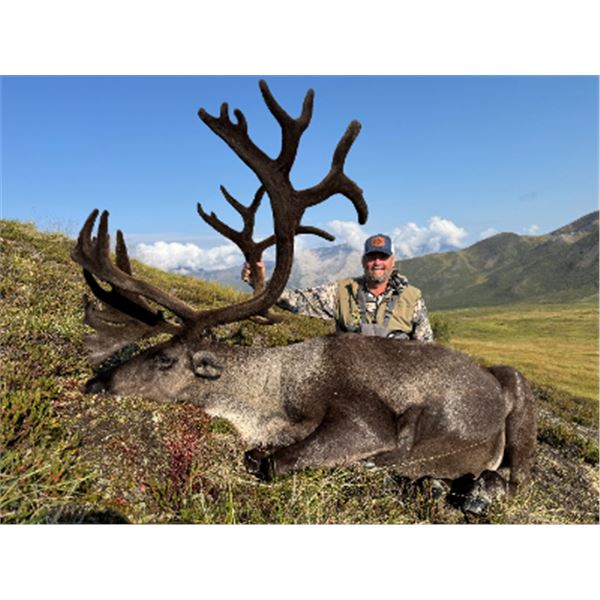 Caribou Rack 12-day Northwest Territories Mountain Caribou Hunt for One Hunter