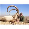 Image 1 : 5-day Pakistan Sindh Ibex Hunt (Up To 39) Inches for One Hunter