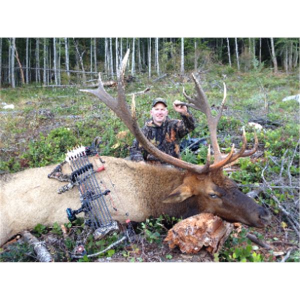 10-day British Columbia Roosevelt Elk Hunt for One Hunter