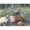Image 1 : 10-day British Columbia Archery Roosevelt Elk Hunt for One Hunter