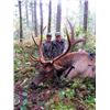 Image 2 : 10-day British Columbia Archery Roosevelt Elk Hunt for One Hunter