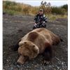 Image 3 : 15-day Alaska Coastal Brown Bear Hunt for Two Hunters