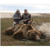 Image 4 : 15-day Alaska Coastal Brown Bear Hunt for Two Hunters