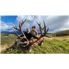Image 1 : 5-day New Zealand Red Stag Hunt up to 499 SCI for Two Hunters