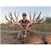 Image 1 : 3-day/2-night Texas Trophy Whitetail and Trophy Transcaspian Urial for One hunter and One Non-hunter