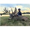 Image 2 : 3-day/2-night Texas Trophy Whitetail and Trophy Transcaspian Urial for One hunter and One Non-hunter
