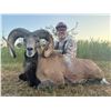 Image 3 : 3-day/2-night Texas Trophy Whitetail and Trophy Transcaspian Urial for One hunter and One Non-hunter