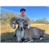 Image 4 : 3-day/2-night Texas Trophy Whitetail and Trophy Transcaspian Urial for One hunter and One Non-hunter