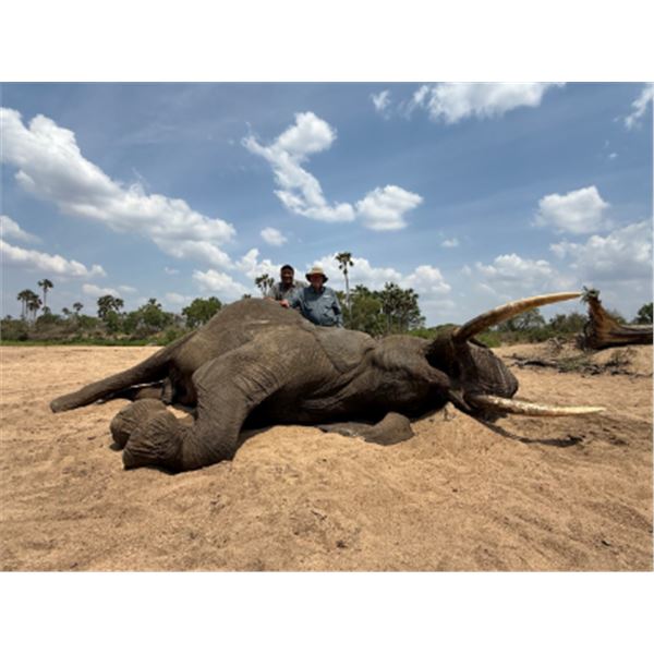 21-day Tanzania Big Game Safari for One Hunter and One Non-hunter