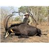 Image 4 : 21-day Tanzania Big Game Safari for One Hunter and One Non-hunter