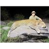 Image 5 : 21-day Tanzania Big Game Safari for One Hunter and One Non-hunter