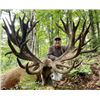 Image 3 : 3-day/4-night Quebec Red Deer Hunt (up to 600 SCI) for One Hunter