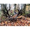Image 4 : 3-day/4-night Quebec Red Deer Hunt (up to 600 SCI) for One Hunter