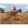 Image 1 : 4-night/5-day Michigan Northeastern Whitetail Deer Hunt for Two Hunters and Two Non-hunters
