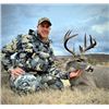 Image 1 : 5-day Arizona Coues Deer and Mountain Lion Hunt for Two Hunters
