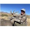 Image 2 : 5-day Arizona Coues Deer and Mountain Lion Hunt for Two Hunters