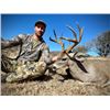 Image 4 : 5-day Arizona Coues Deer and Mountain Lion Hunt for Two Hunters