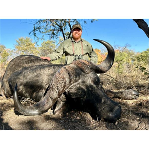 7-day Namibia Cape Buffalo Hunt for Two Hunters and Two Non-hunters