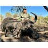 Image 1 : 7-day Namibia Cape Buffalo Hunt for Two Hunters and Two Non-hunters