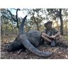 Image 2 : 14-Day Australia Trophy Buffalo Bull and Trophy Banteng Bull Safari for Two Hunters and Two Non-hunt
