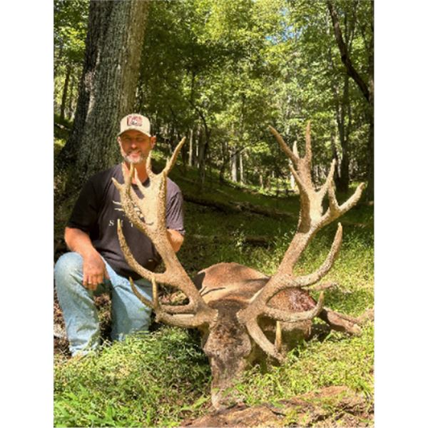 3-day Pennsylvania Red Deer up to 425 SCI and Whitetail Deer Hunt for Two Hunters
