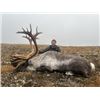 Image 2 : 10-day British Columbia Choice Of Western Canadian Moose, Mountain Caribou or Mountain Goat Hunt for