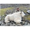 Image 3 : 10-day British Columbia Choice Of Western Canadian Moose, Mountain Caribou or Mountain Goat Hunt for