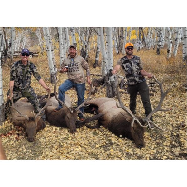 5-day Colorado Rocky Mountain Elk, Mule Deer, and Black Bear Hunt for One Hunter UPDATE 2027 ONWARD
