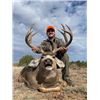 Image 2 : 5-day Colorado Rocky Mountain Elk, Mule Deer, and Black Bear Hunt for One Hunter UPDATE 2027 ONWARD