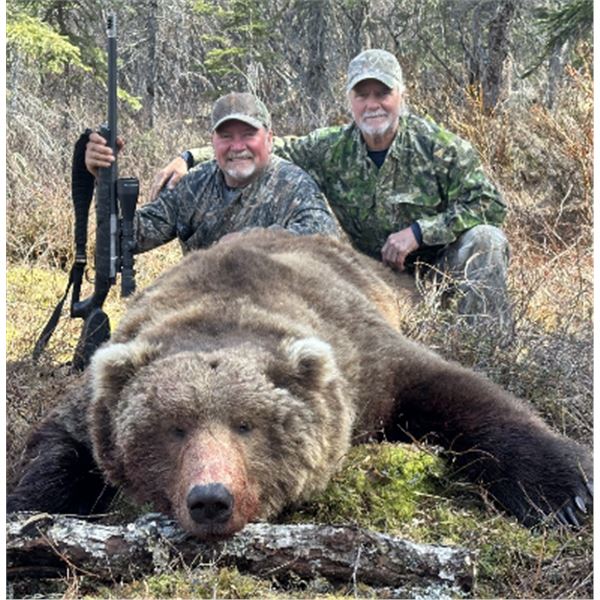 10-day Alaska Coastal Brown Bear Hunt for One Hunter