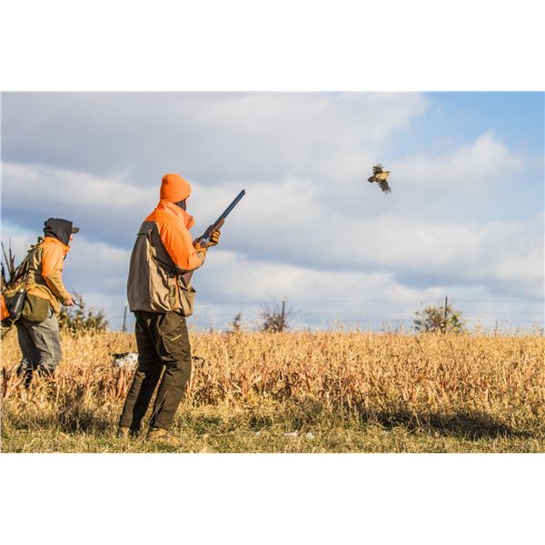 2-day/3-night Iowa Upland Bird Shoot for Two Hunters