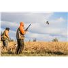 Image 1 : 2-day/3-night Iowa Upland Bird Shoot for Two Hunters