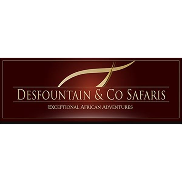 7-day Zimbabwe Tuskless Elephant Hunt for One Hunter and One Non-hunter