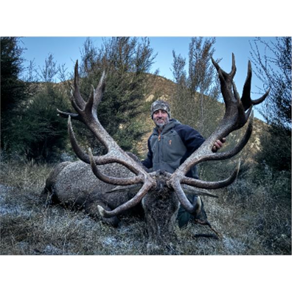 6-day/7-night New Zealand Red Stag up to 405 SCI, Best Available Tahr and Chamois Hunt for Four Hunt