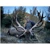 Image 1 : 6-day/7-night New Zealand Red Stag up to 405 SCI, Best Available Tahr and Chamois Hunt for Four Hunt